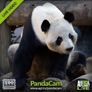 Image post by @animalplanet on Instagram