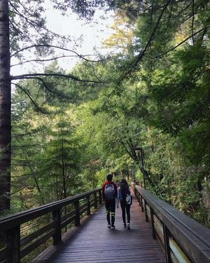 Image post by @ucsc on Instagram