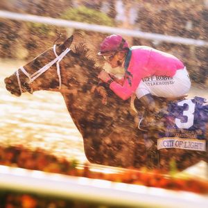 Image post by @pegasusworldcup on Instagram