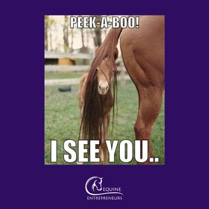 Image post by @equine_entrepreneurs_ on Instagram