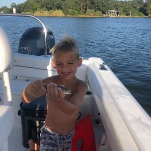Image post by @pensacolasports on Instagram