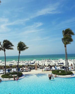Image post by @visitsarasotacounty on Instagram