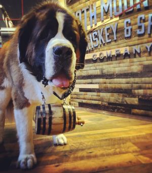 Image post by @10thmtnwhiskey on Instagram