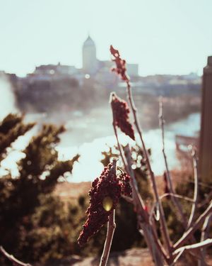 Image post by @ninamarie_creative on Instagram