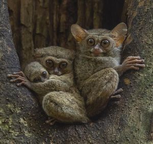 Image post by @discovery on Instagram