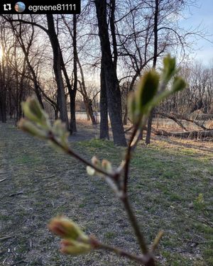 Image post by @fargoparks on Instagram