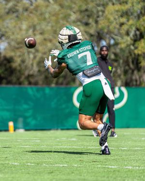 Image post by @usffootball on Instagram
