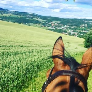 Image post by @carolinedame on Instagram