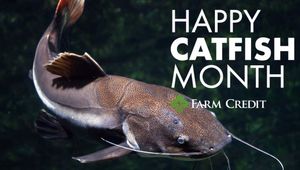 Image post by @farmcredit on Instagram