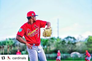 Image post by @springfield_cardinals on Instagram