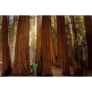 Image post by @nationalparkspartnership on Instagram