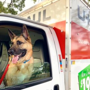 Image post by @uhaul on Instagram