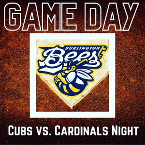 Image post by @burlington_bees on Instagram