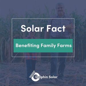 Image post by @DolphinSolarProject on Facebook