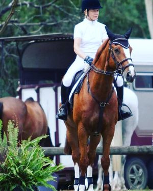 Image post by @snaffle_it on Instagram