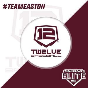 Image post by @twelvebaseball on Instagram