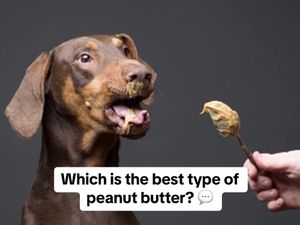 Image post by @brbetting_ on TikTok