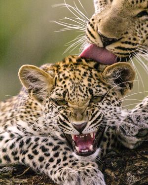 Image post by @natgeo on Instagram