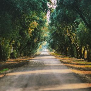 Image post by @joenagraphy on Instagram