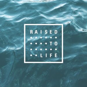 Image post by @bayhopestudents on Instagram