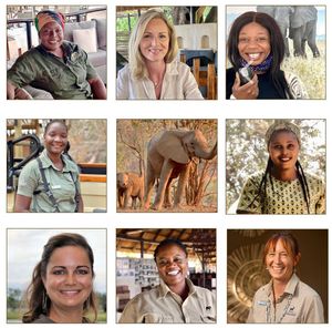Image post by @chiawasafaris on Instagram