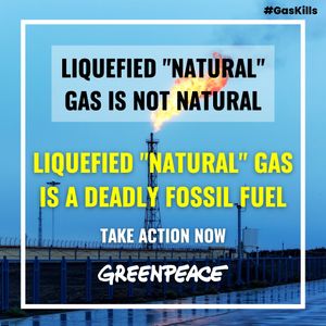 Image post by @greenpeace on Instagram