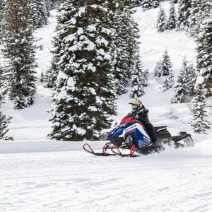 Image post by @levi_lavallee on Instagram