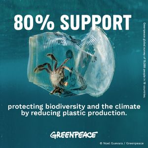 Image post by @greenpeace on Instagram
