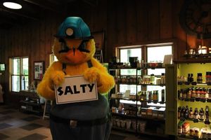 Image post by @dirtybirdscwv on Instagram