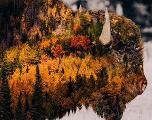 Image post by @trevorfrench on Instagram