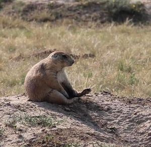 Image post by @nationalparkservice on Instagram