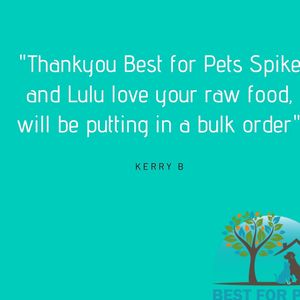 Image post by @bestforpetsmelb on Instagram