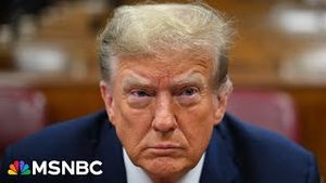 Video post by @msnbc on YouTube