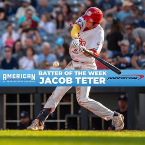 Image post by @thechicagodogs on Instagram