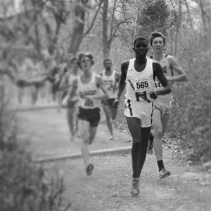 Image post by @hofstratrackxc on Instagram