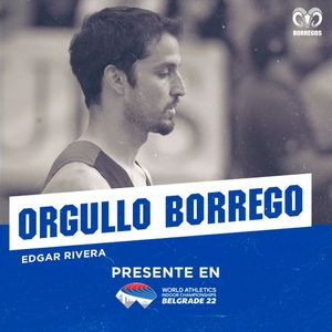 Image post by @borregostec on Instagram