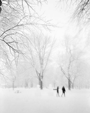 Image post by @mtl_unscripted on Instagram