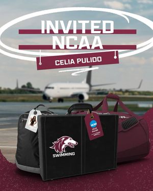 Image post by @siu_swimdive on Instagram