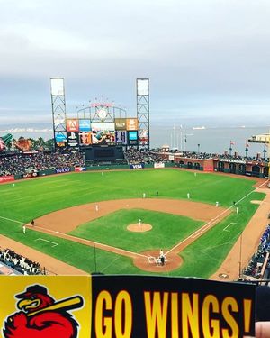 Image post by @rocredwings on Instagram