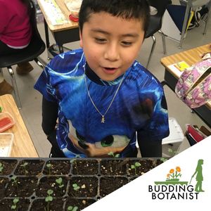Image post by @kidsgardening on Instagram