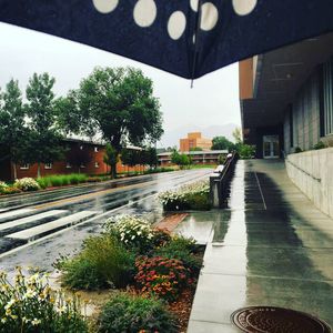 Image post by @nauflagstaff on Instagram