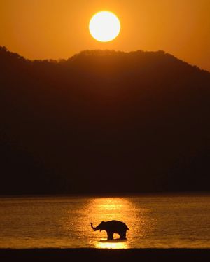 Image post by @discovery on Instagram