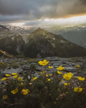Image post by @nationalparkscollective on Instagram