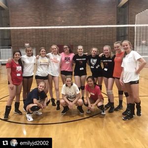 Image post by @beavervball on Instagram