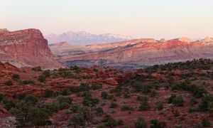 Image post by @nationalparkscollective on Instagram