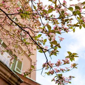 Image post by @collegeofcharleston on Instagram