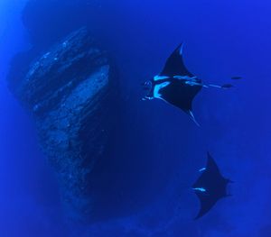 Image post by @natgeo on Instagram