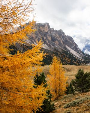 Image post by @andyaustinphoto on Instagram