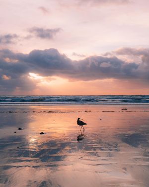Image post by @ryxnlevy on Instagram