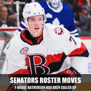 Image post by @sens_network on Instagram